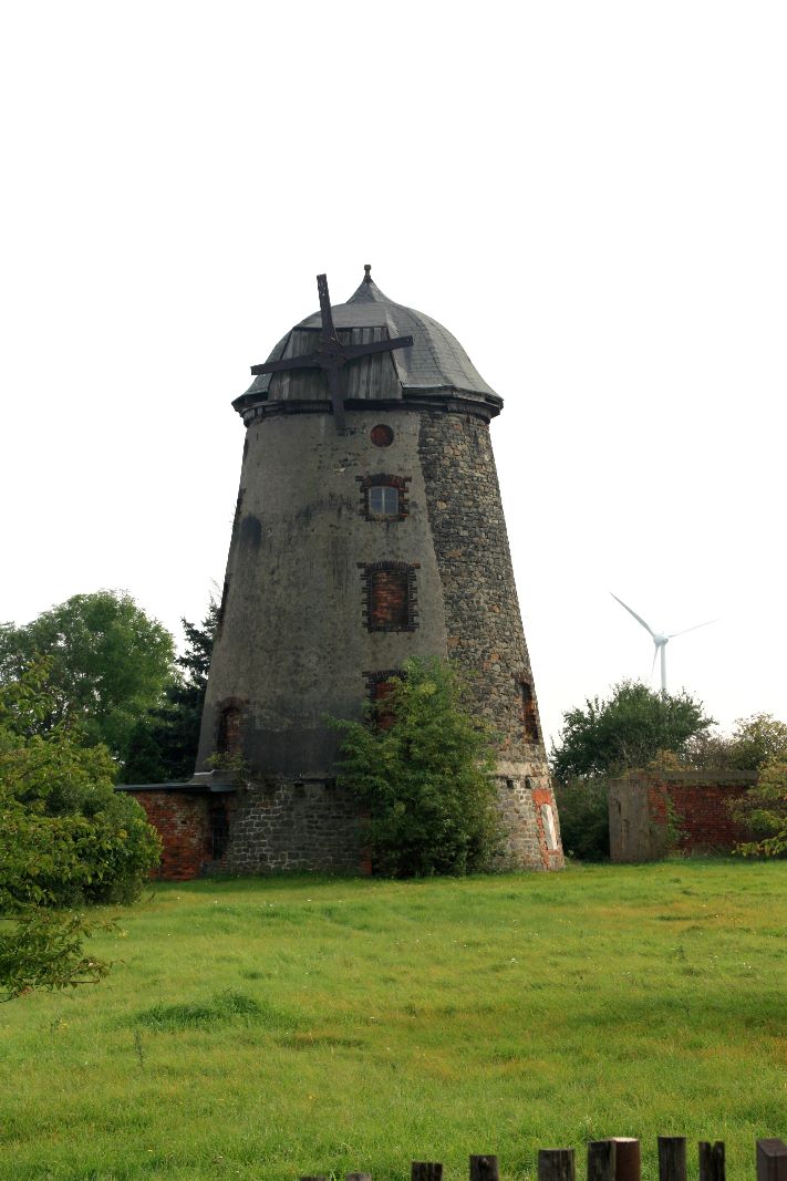 Turmholländer bei Groß Ammensleben